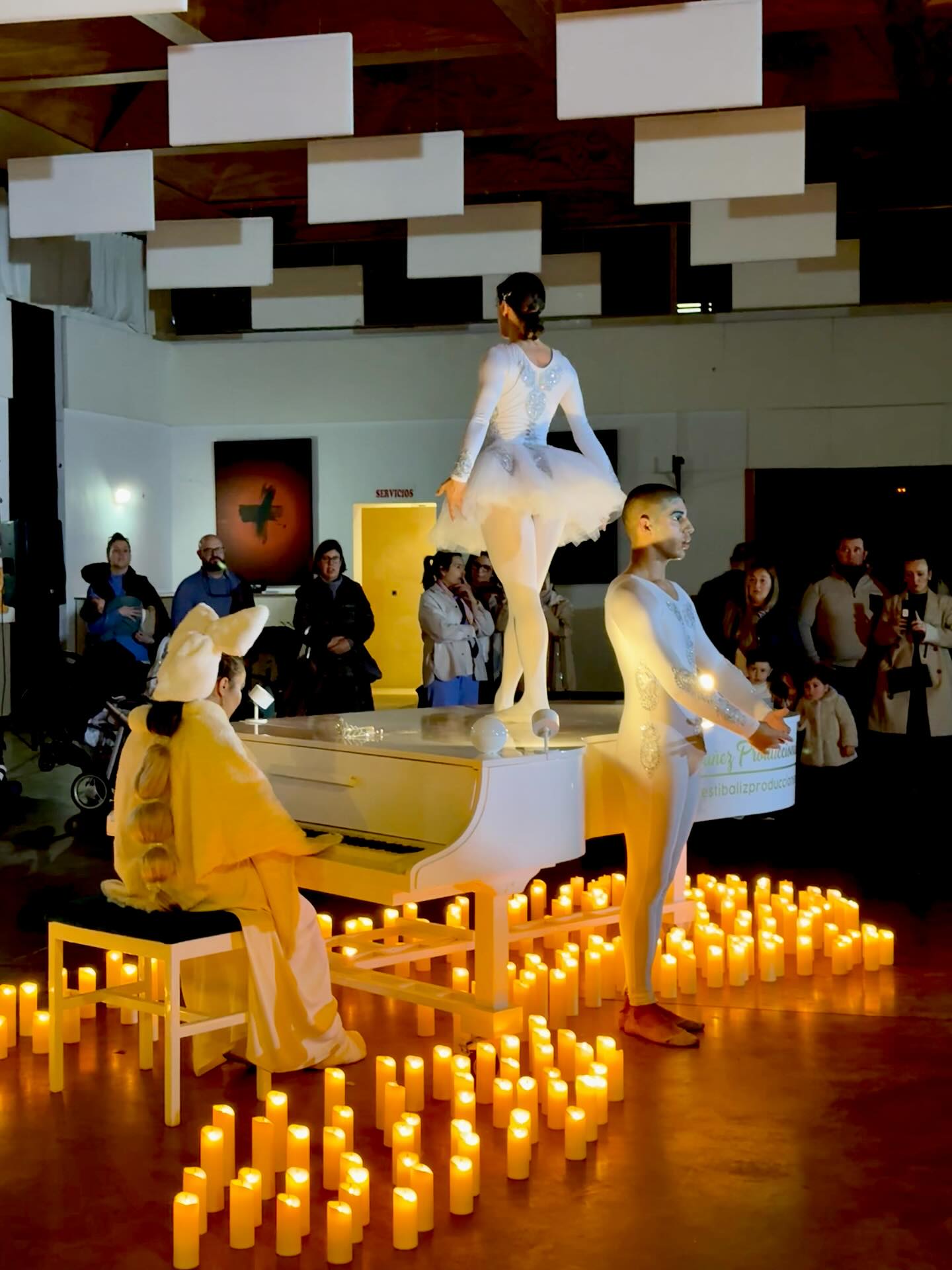 Espectáculo de luz, música y danza en la visita del Heraldo Real