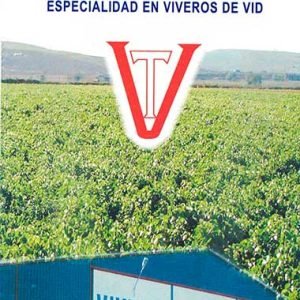 TRIPTICO